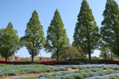 公園