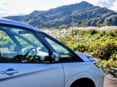 車を降りてススキ観察