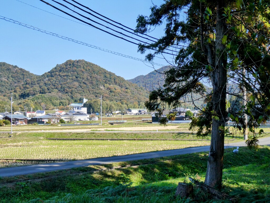 田舎の午後