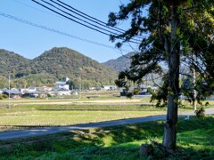 田舎の午後