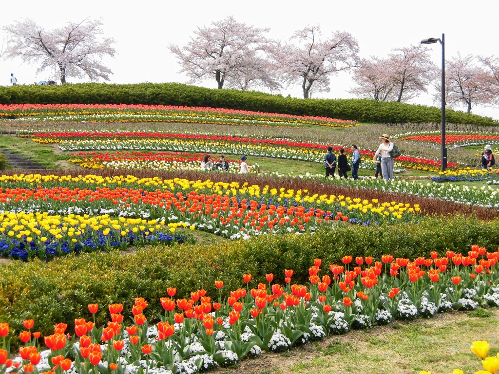 公園にて