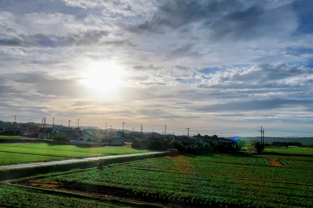 朝