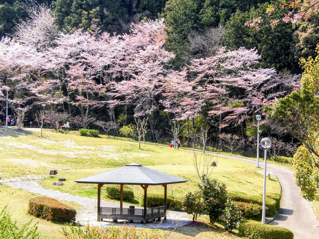 公園