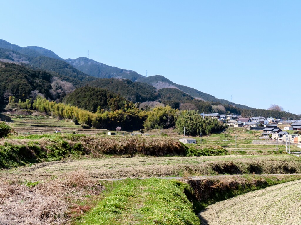 田舎風景