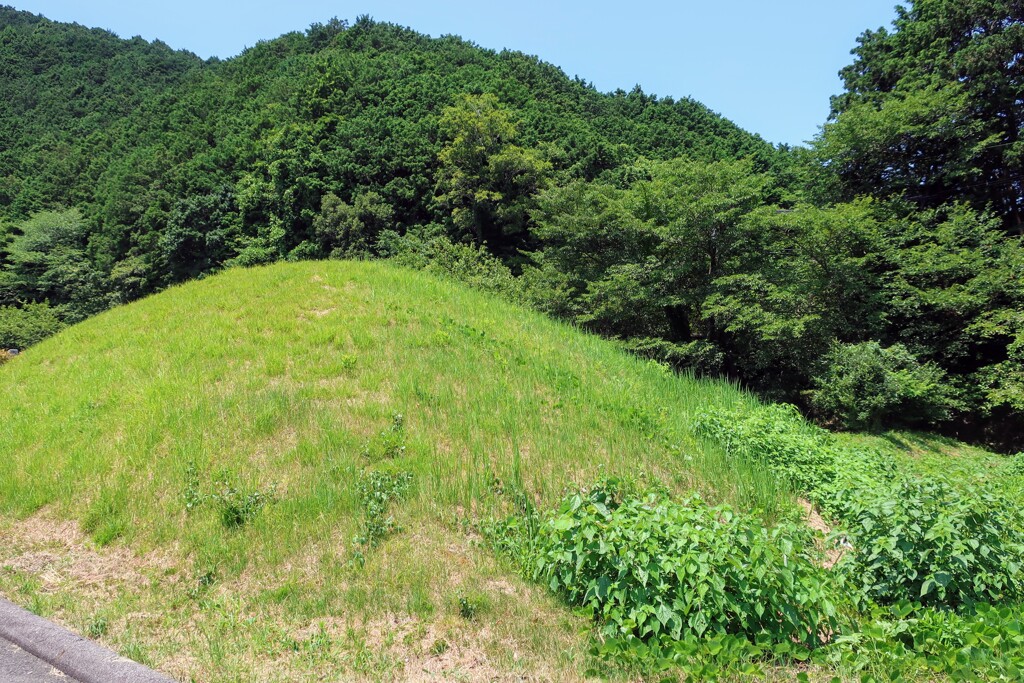 路傍の古墳