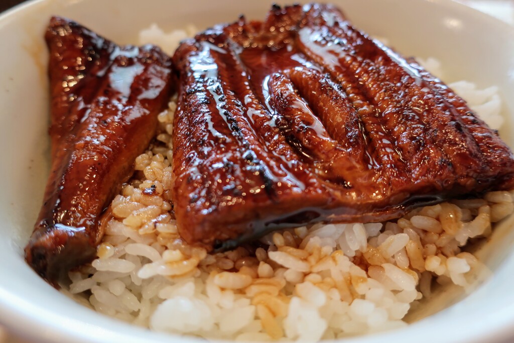 鰻丼