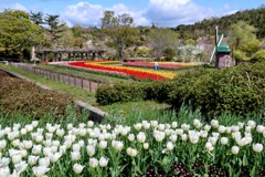 フラワーセンター