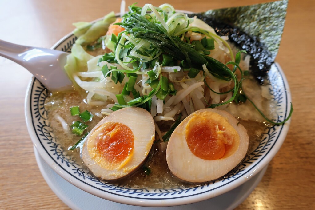 野菜肉そば、味玉入り