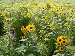 少女とひまわり