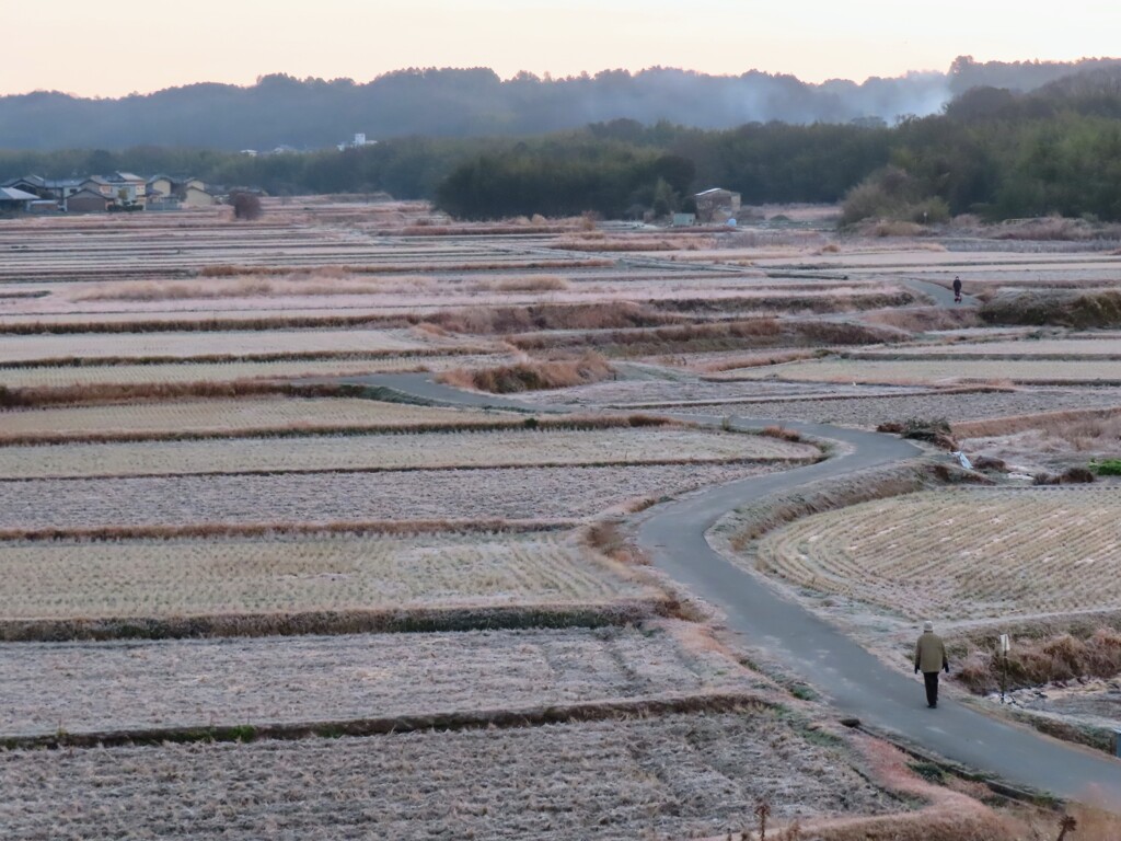 冬の田園
