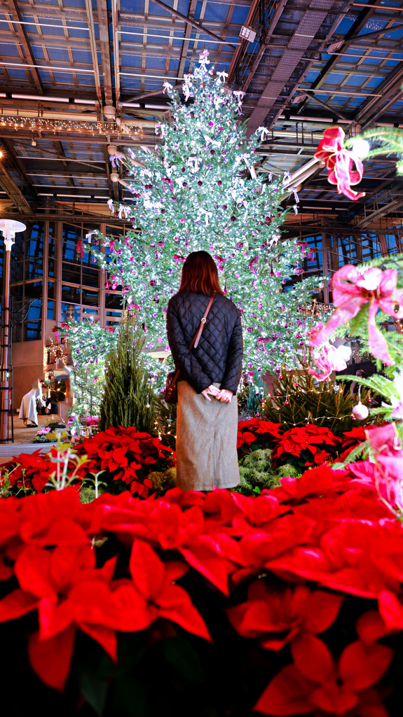 クリスマツリーが綺麗