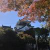 岡崎城と紅葉