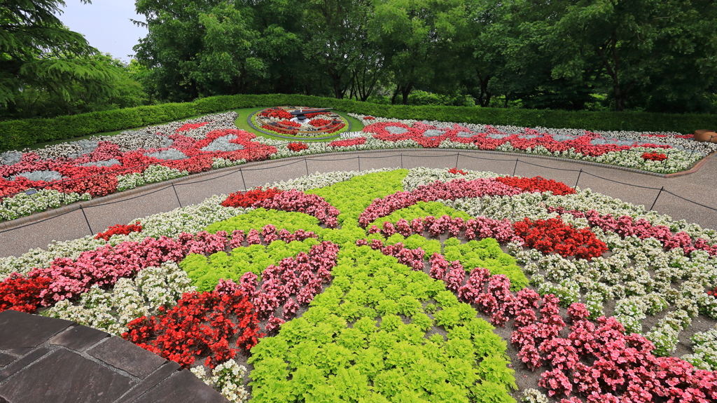 ベゴニアお花畑　ハートが隠れてるよ