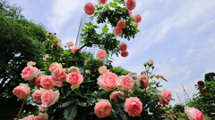 空に向かって