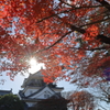 岡崎城と紅葉