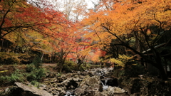 くらがり渓谷②