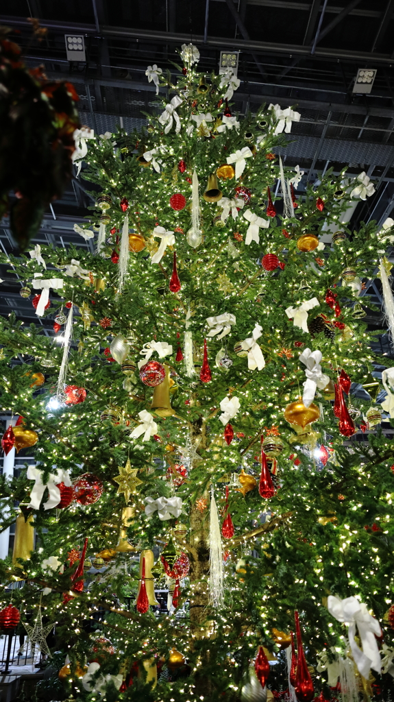 クリスマスツリー