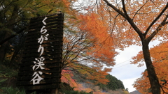 くらがり渓谷①