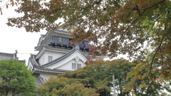 小さな秋と岡崎城