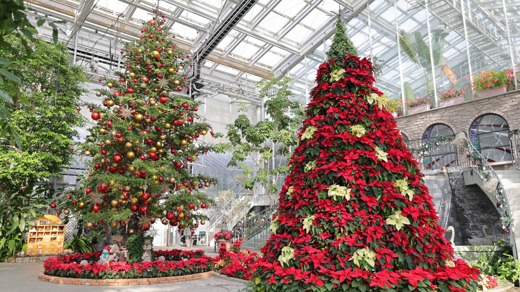 クリスマスツリー