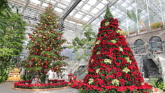 クリスマスツリー