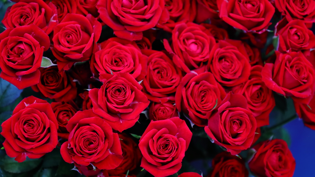 感謝　ありがとう