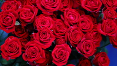 感謝　ありがとう