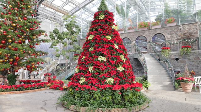 クリスマスツリー