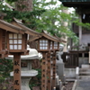 夏詣 亀田八幡宮