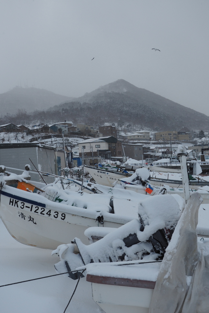 函館山を望む雪の漁港