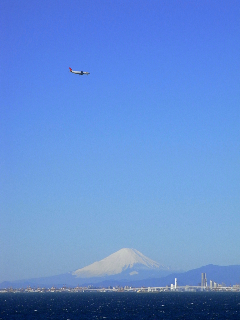 春の陽射し