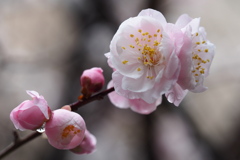 雨水の候６