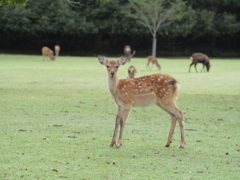 目が合いました