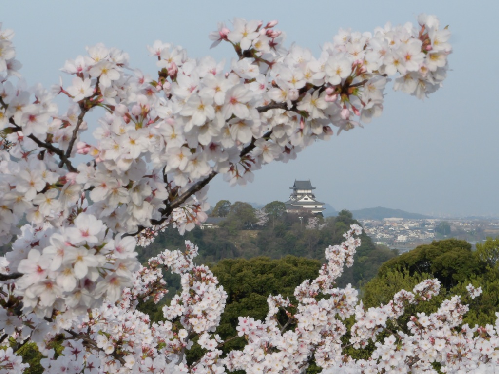 国宝犬山城