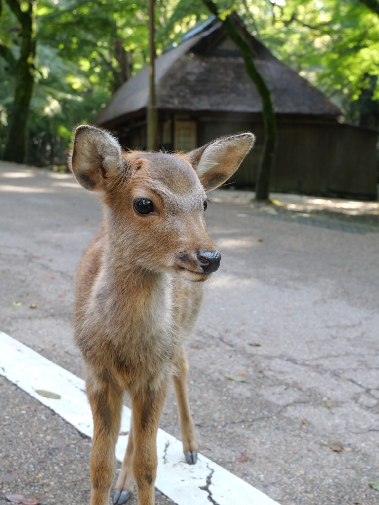 水谷茶屋