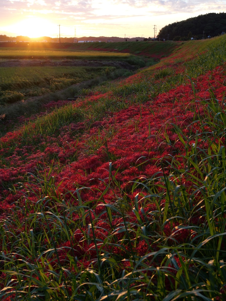 夕暮れ時