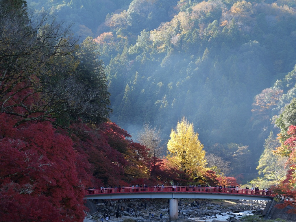 紅葉3
