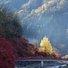 紅葉3
