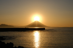 今年も頑張りましょう