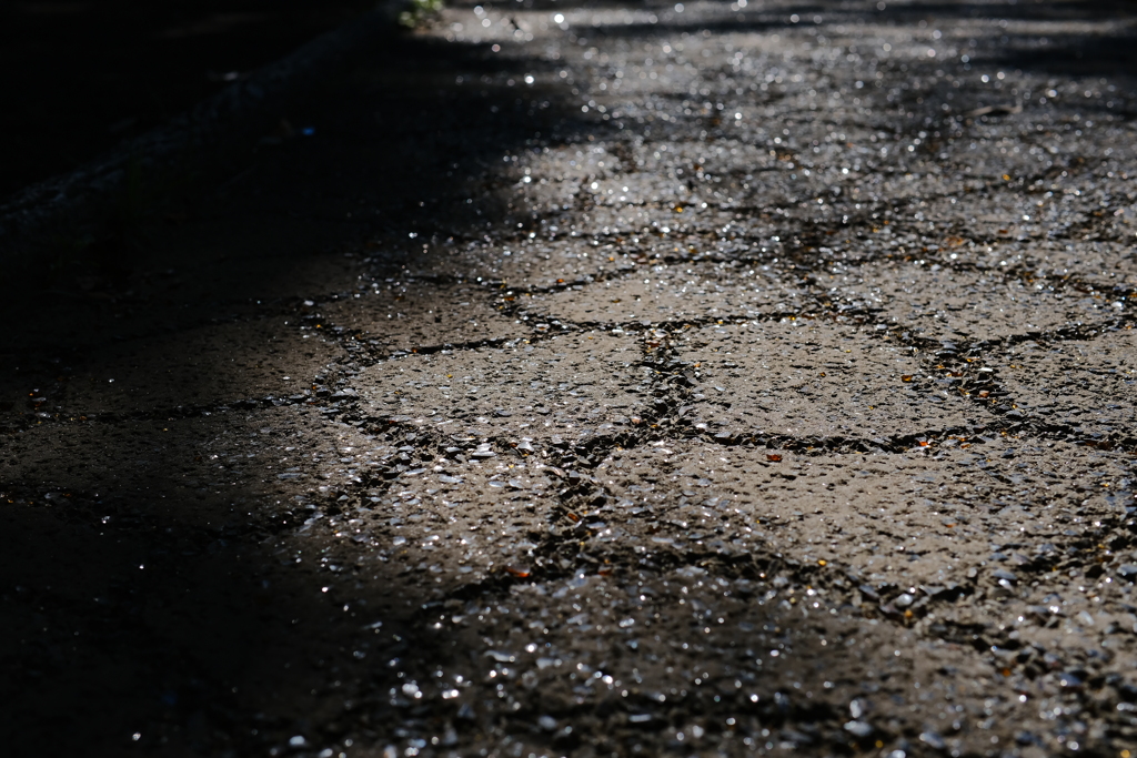 陰の道