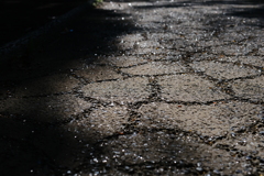 陰の道
