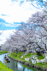 春の散歩