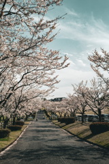 並木気分