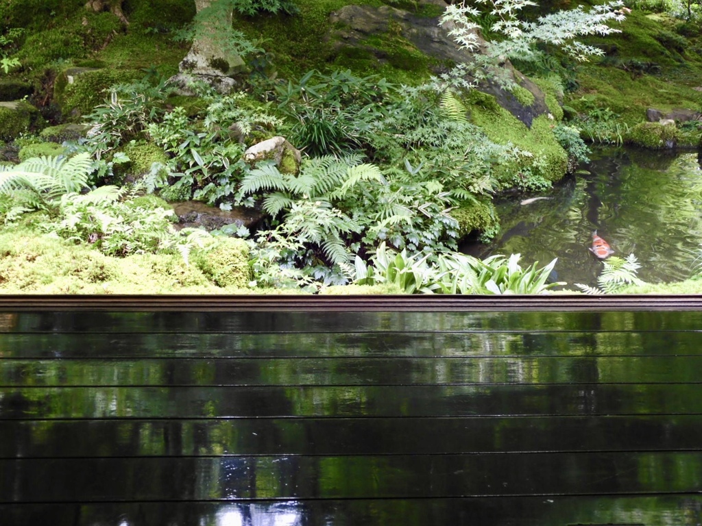 瑠璃光院