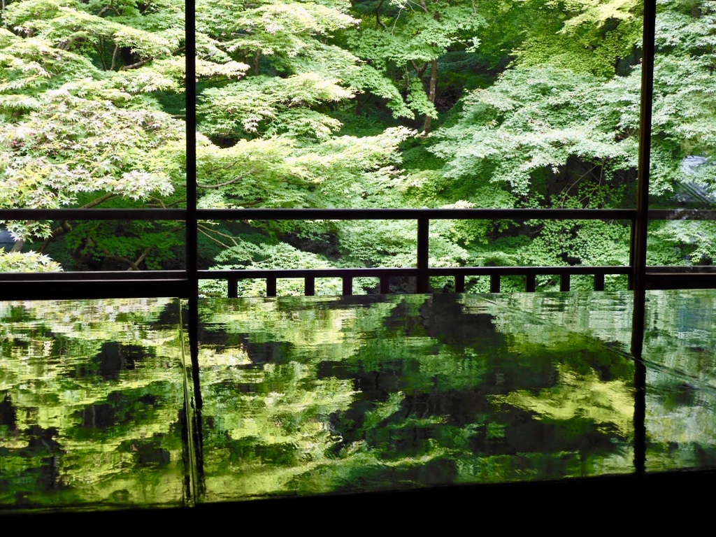 瑠璃光院