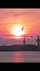 函館の夕日