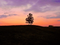 美瑛の夕日