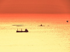 夕暮れの関門海峡