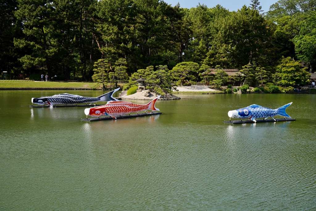 沢の池春の鯉泳ぎ