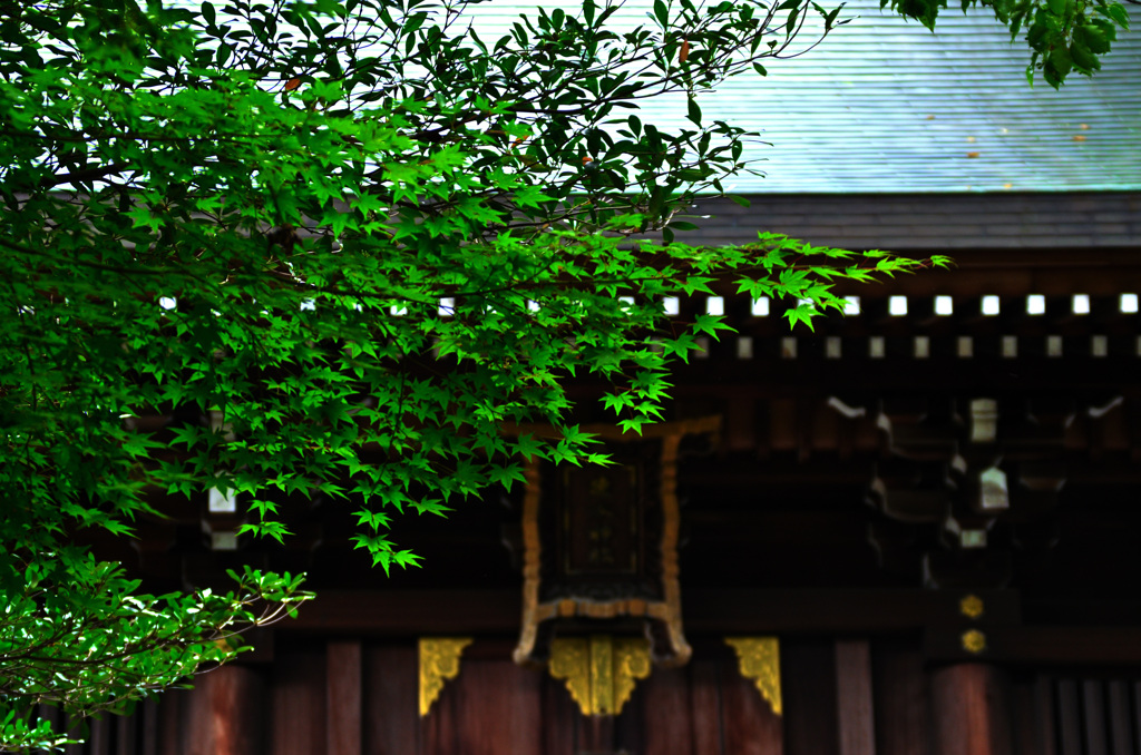 速谷神社